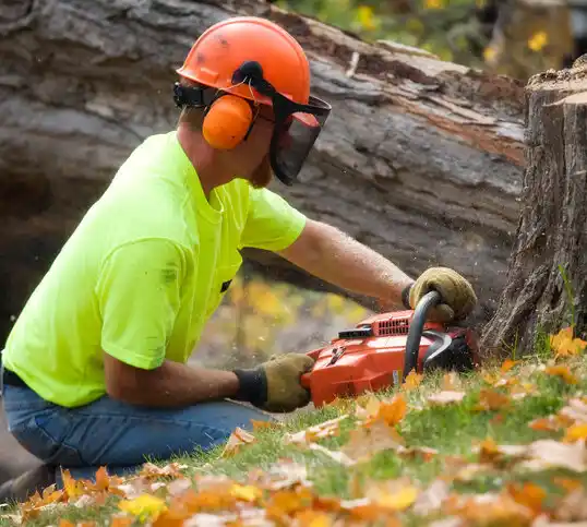 tree services Linton